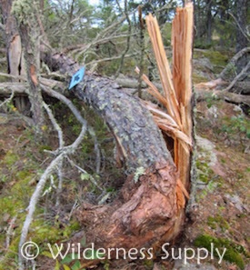 Downed trail sign