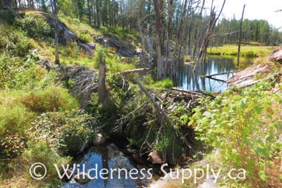 Beaver dam crossing